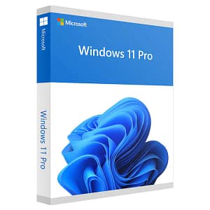 windows 11 pro
